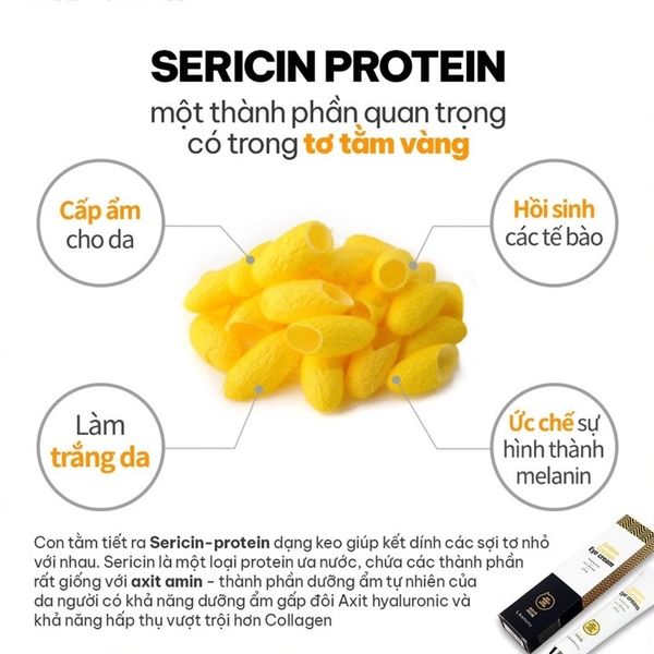 03_7bfb61e56b184075881f462cba7ab908_grande