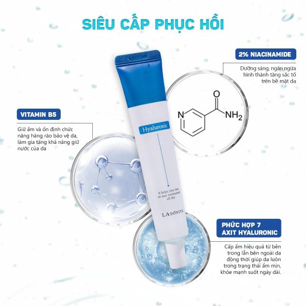 338317255_781200806369901_6142663307795212836_n_49ffd58d867243e9bc8e040861b3ca5d_grande