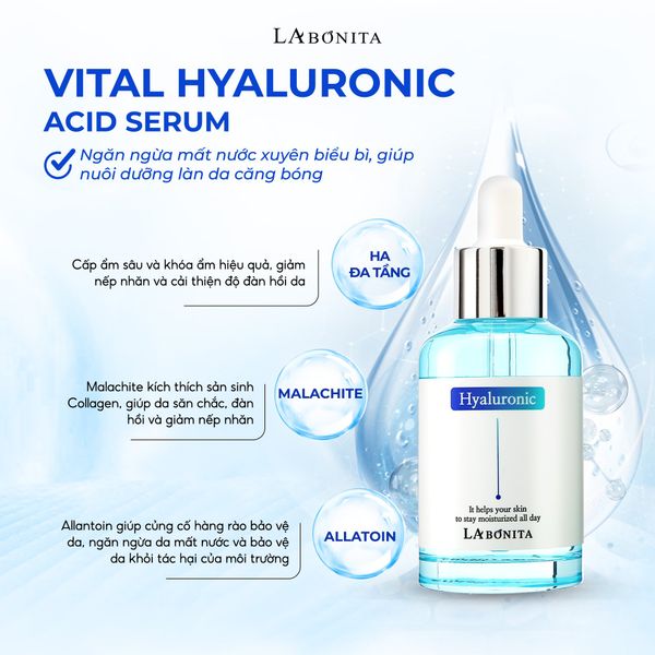 5135_38c635e4d9c644c24b47d60806a7ad86_1169f0a4b47341ec861f8414a56b5577_grande