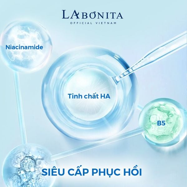 b8-2_24a48d71a715496385a680a93af53f26_grande-2