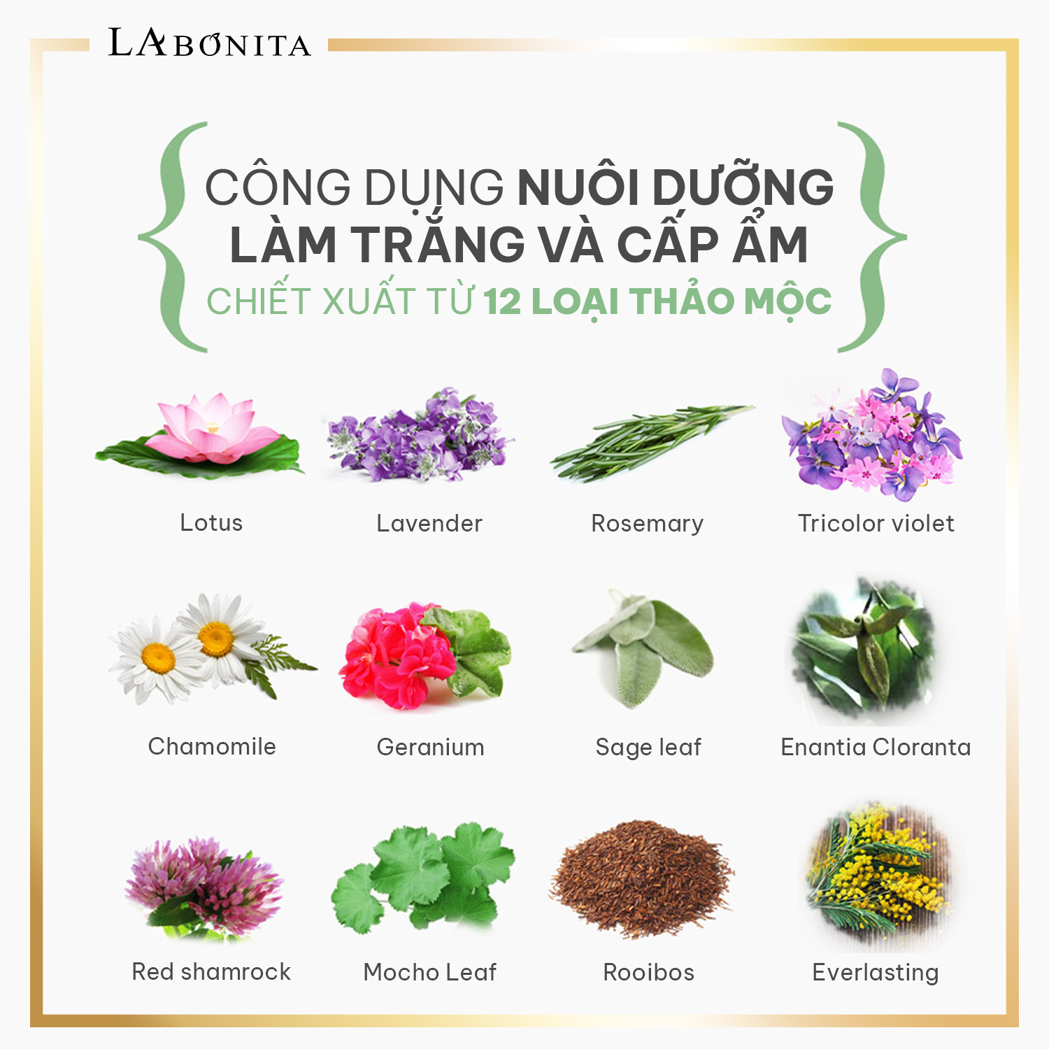 Kem Dưỡng Sáng Da Và Nâng Tone Da La Bonita Brightening Tone-Up Cream 40ml