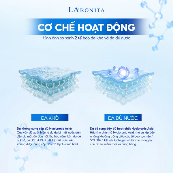 co-che-hoat-dong__1__9d77b59239224abb87d420969486d365_grande