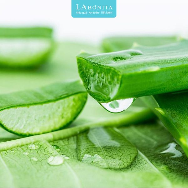 mat-na-duong-am-chong-lao-hoa-4_744e6363c54f4267ab22d52113f50df7_grande