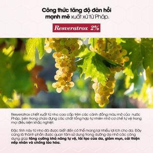 Kem Dưỡng La Bonita Vita A Retinal Creamy Essence 30ml