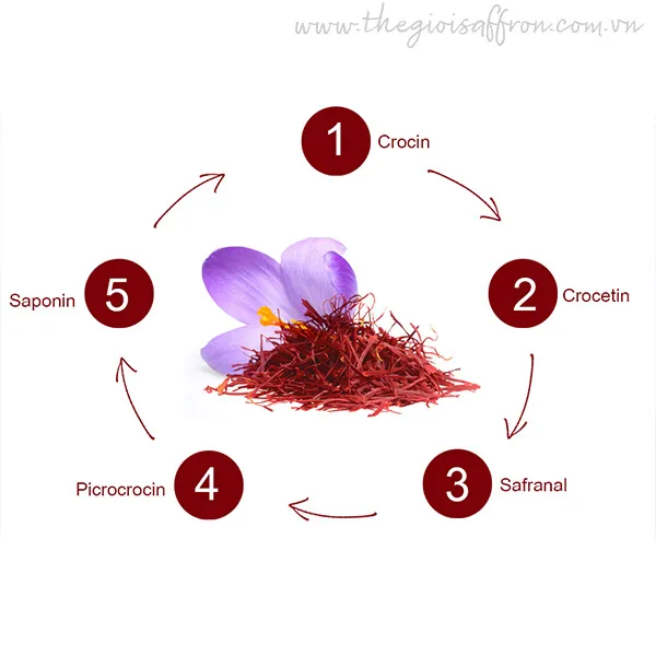 Hoạt chất Crocin trong Saffron là khắc tinh của các gốc tự do gây lão hóa