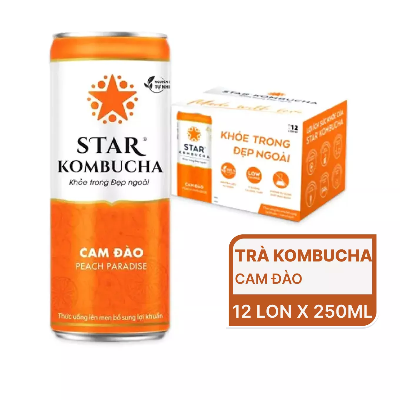 619101-8936185350475 Kombucha Thức uống lên men mang lại sức mạnh trẻ hóa diệu kỳ cho làn da và cơ thể