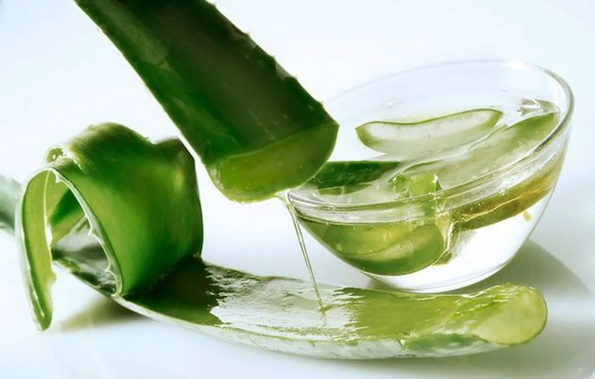 Gel lô hội là giải pháp vàng trong việc phục hồi làn da bị cháy nắng và bong tróc