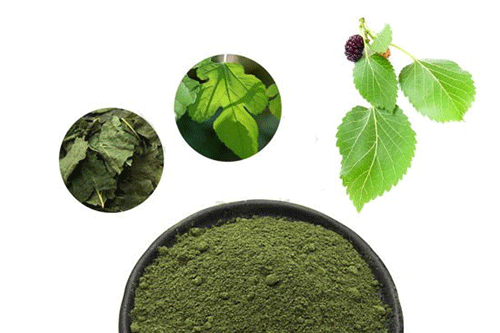 bot-la-dau-tam Nguyên liệu tươi sạch quyết định hiệu quả của mặt nạ Collagen tự làm