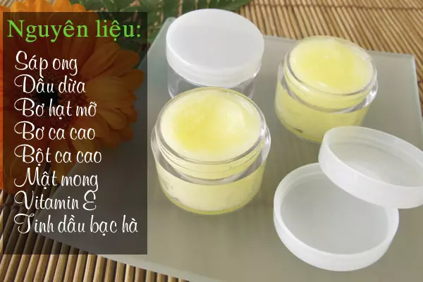 Các thành phần tự nhiên giàu dưỡng chất là cốt lõi của việc chống lão hóa môi