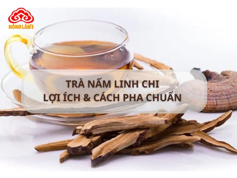 Sử dụng nấm Linh Chi kết hợp lối sống lành mạnh để bảo vệ làn da