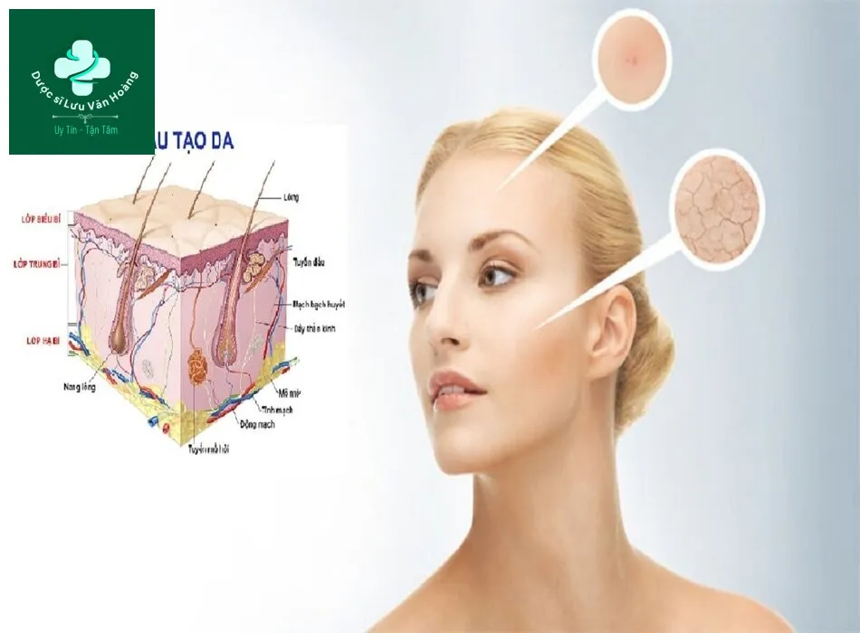 Cấu trúc da môi mỏng manh hơn rất nhiều so với các vùng da khác trên khuôn mặt