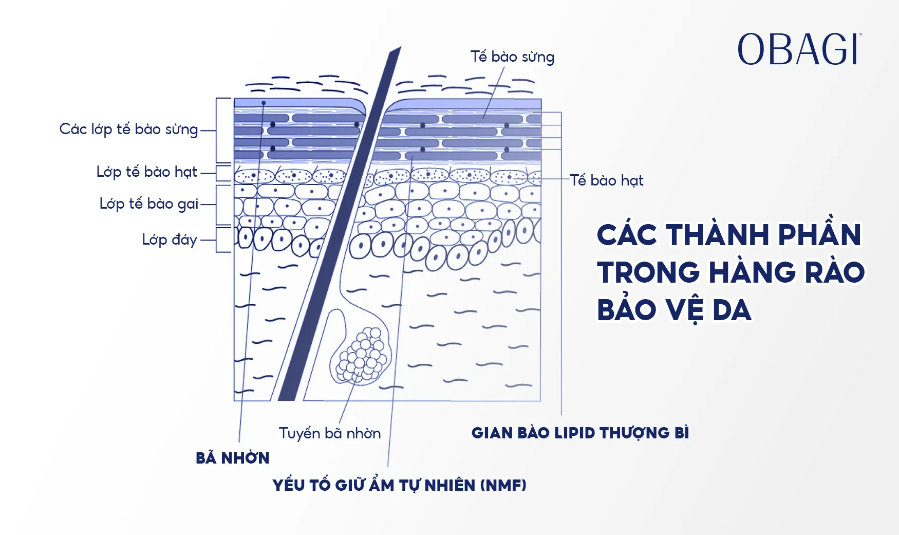 cham-soc-hang-rao-bao-ve-da-dung-cach-nhu-the-nao_b5f7931a89e844e3a7814f66add62344 Hàng rào bảo vệ da khỏe mạnh là chìa khóa giúp làn da tự phục hồi mà không cần quá nhiều mỹ phẩm