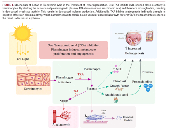 Cơ chế tác động thông minh của Tranexamic Acid giúp ngăn chặn nám từ gốc