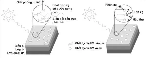 Kem chống nắng dưỡng ẩm giúp ngăn chặn sự mất nước xuyên biểu bì do tác động của nhiệt độ