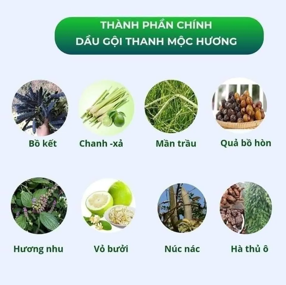 dau-goi-thanh-moc-huong-34324343-66 Thành phần thảo mộc là yếu tố then chốt tạo nên sự an toàn và hiệu quả của sản phẩm