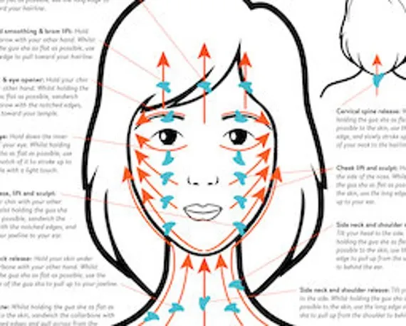 Sơ đồ hướng dẫn hướng đi của Gua Sha để tối ưu hóa quá trình thải độc hệ bạch huyết