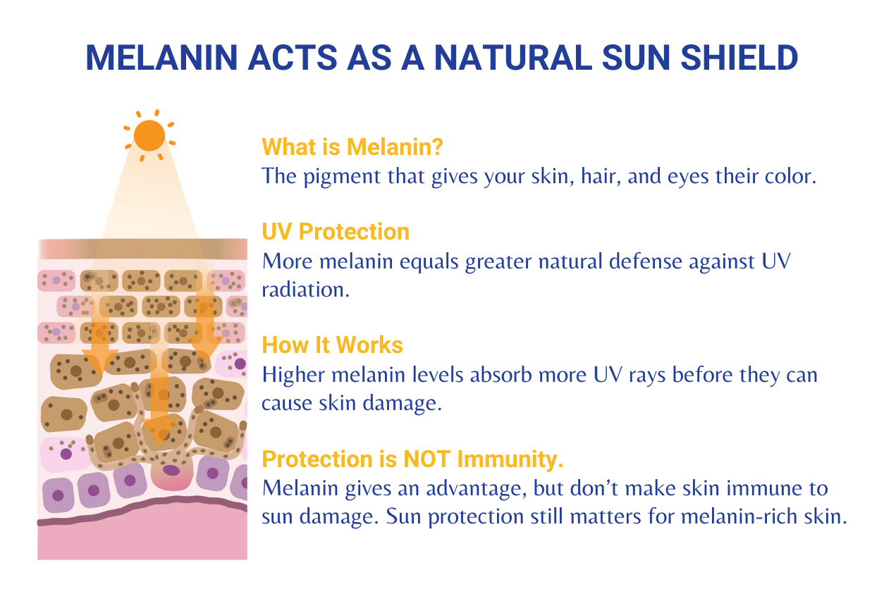 Cơ chế Melanin bảo vệ nhân tế bào da khỏi tác hại của bức xạ tia cực tím