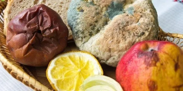 Cần loại bỏ ngay thực phẩm lên men có dấu hiệu nấm mốc lạ hoặc mùi hôi