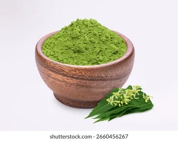 Lá Neem Ấn Độ  Thảo dược quý giá trong việc điều trị các bệnh lý về da