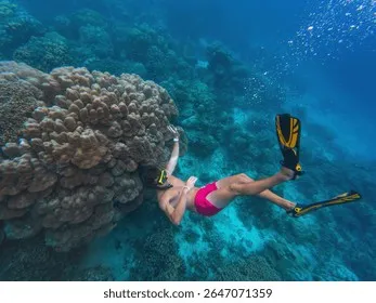 Tận hưởng vẻ đẹp đại dương một cách bền vững với kem chống nắng Reef Safe