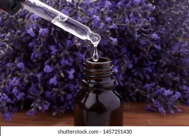 Tinh dầu oải hương là lựa chọn hàng đầu cho giấc ngủ sâu và chất lượng