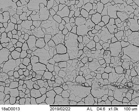 sem20image20evaluation20coupon20cracks Các vết nứt vi mô trên bề mặt silicone do tác động của hóa chất mạnh