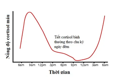 Cơ chế tác động phức tạp của hormone stress lên sức khỏe làn da từ bên trong