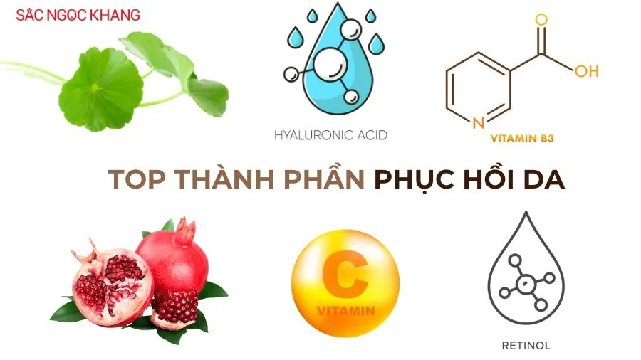 Các thành phần chiết xuất từ thiên nhiên đóng vai trò cốt lõi trong việc phục hồi da cháy nắng