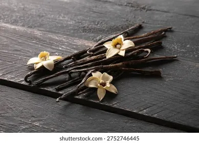 Hương Vanilla mang lại cảm giác ấm áp và sang trọng cho dòng dưỡng thể
