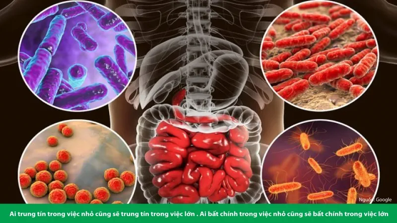 vi-khuan-probiotic-1 Hệ vi sinh đường ruột khỏe mạnh là chìa khóa cho vẻ đẹp làn da bền vững