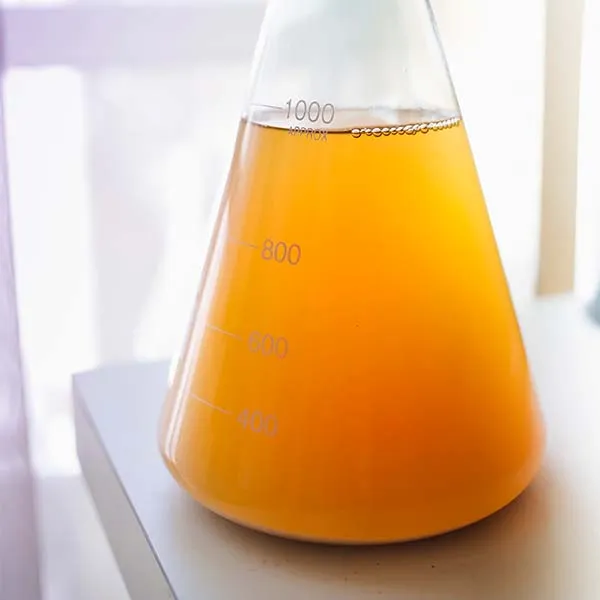 yeast-ferment Công nghệ lên men trong mỹ phẩm tạo ra các dưỡng chất có khả năng thẩm thấu vượt trội